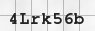 Capcha Image