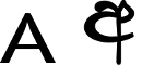 English to Sinhala